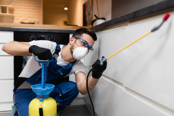Best Affordable Pest Control Services  in South Haven, MI