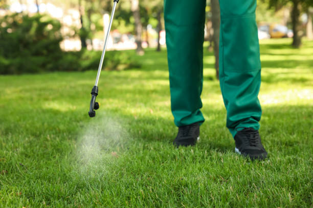 Best Exterminator Services  in South Haven, MI